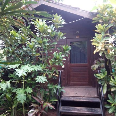 Pele'S Windsong Wood Cottage On The Beach Benaulim Eksteriør billede