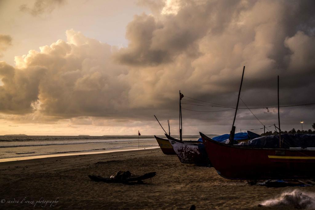 Pele'S Windsong Wood Cottage On The Beach Benaulim Eksteriør billede