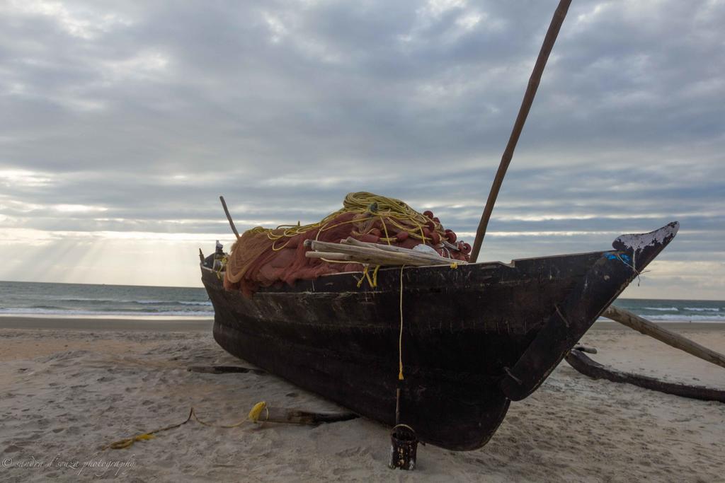 Pele'S Windsong Wood Cottage On The Beach Benaulim Eksteriør billede