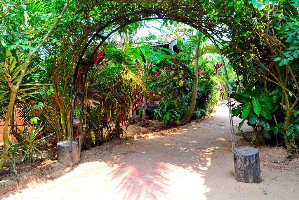 Pele'S Windsong Wood Cottage On The Beach Benaulim Eksteriør billede